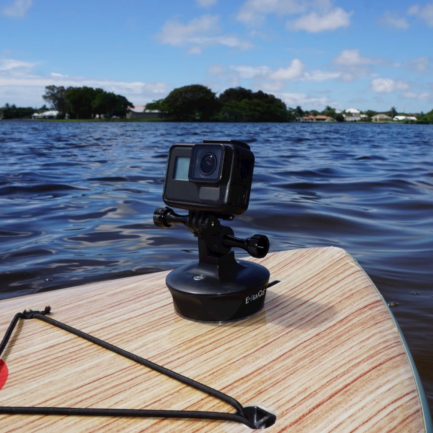 E-Sea Camera Mount-Suction Mounted Camera Mount