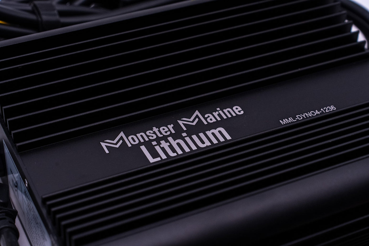 36v DYNO4 Dynamic Charger