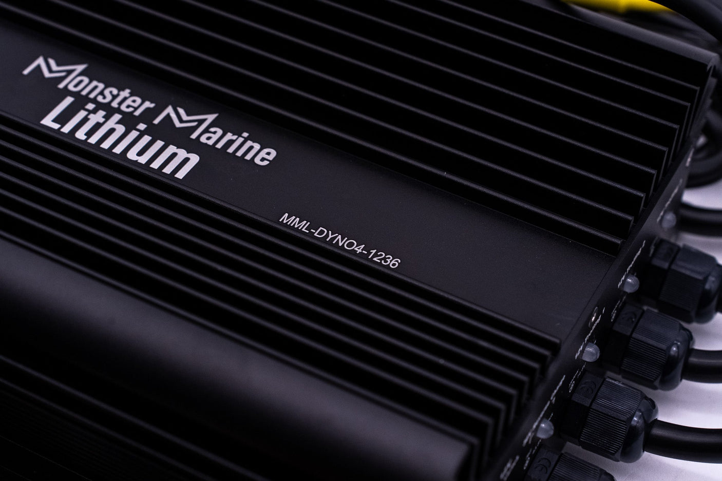 36v DYNO4 Dynamic Charger