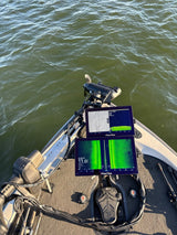 MONSTER MONITOR - FOCUS 19