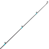 Salt Series Fishing Rods