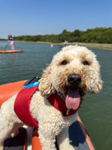 Spinlock FIDO Dog Life Jacket