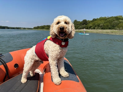 Spinlock FIDO Dog Life Jacket