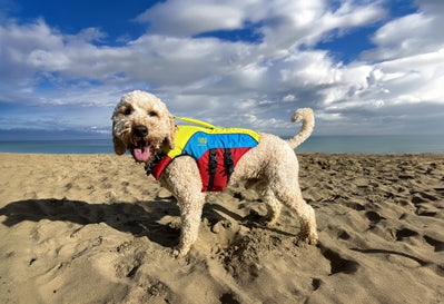 Spinlock FIDO Dog Life Jacket