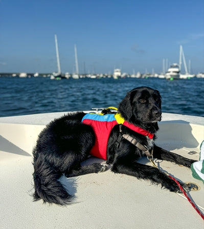 Spinlock FIDO Dog Life Jacket