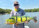 World Travel Series Fishing Rod
